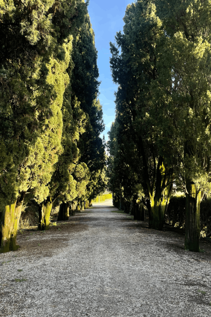 Viale alberato che porta al Mausoleo Visconti di Modrone (LC) 