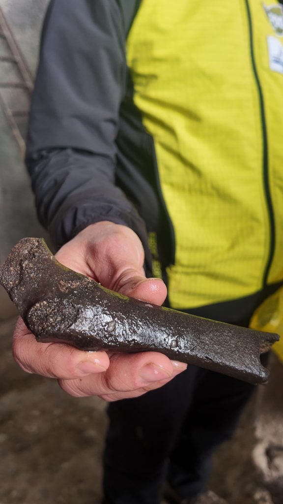 ossa di orsi che abitavano al Buco del Piombo 15000 anni fa