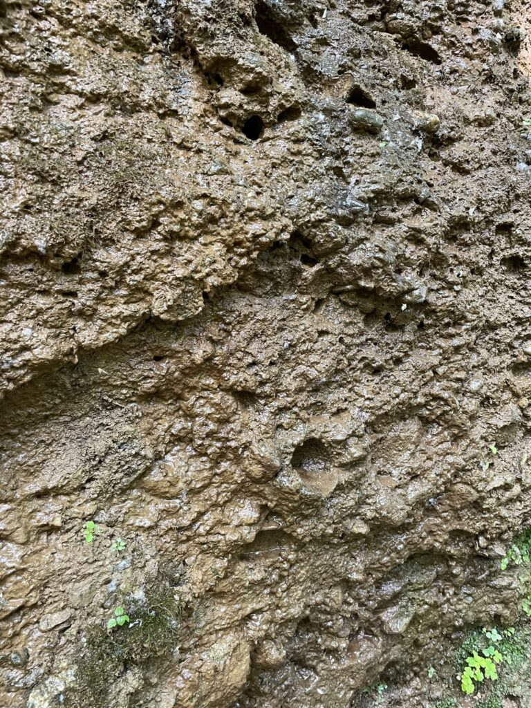 Roccia su cui scorre l'acqua alla Fontana del Guercio