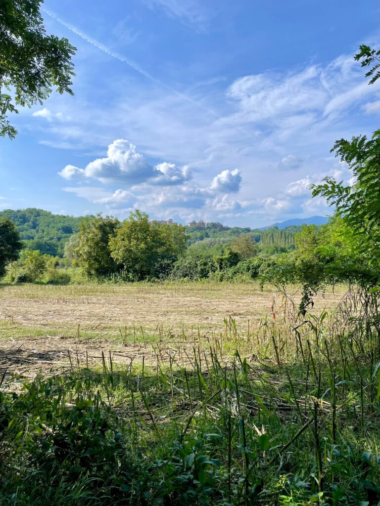 distesa di campi dello Zoc del Peric destinata al bestiame